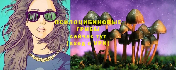 мяу мяу мука Алзамай