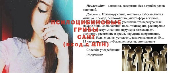 дживик Алексин
