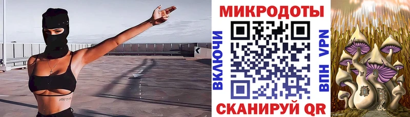 Галлюциногенные грибы Psilocybine cubensis  Тихвин 